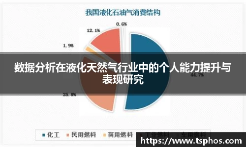 数据分析在液化天然气行业中的个人能力提升与表现研究