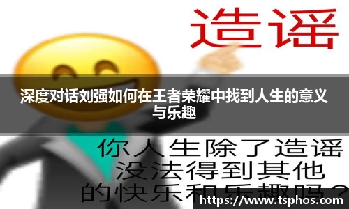 深度对话刘强如何在王者荣耀中找到人生的意义与乐趣