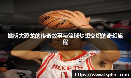 yy易游