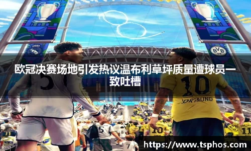 易游体育