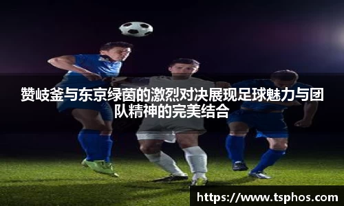 米乐yy体育
