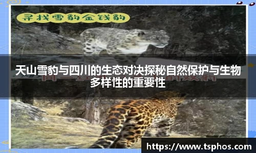 天山雪豹与四川的生态对决探秘自然保护与生物多样性的重要性