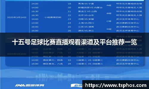 十五号足球比赛直播观看渠道及平台推荐一览