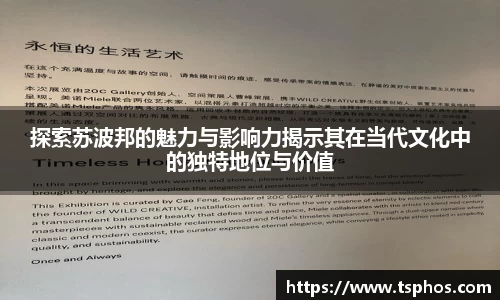 探索苏波邦的魅力与影响力揭示其在当代文化中的独特地位与价值